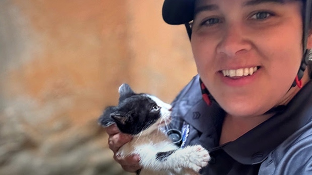 WATCH | #TheMoment a woman crawled through a 45-metre pipe to save a kitten; Animal welfare officer Merideth Roberson recounts the moment she crawled 45 meters through a pipe to save a kitten\. 