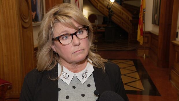 Social development minister downplays youth advocate's worries about budget cuts