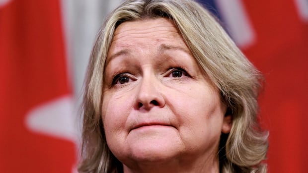 Ontario auditor general to release four special reports, including on child care, pollution reduction | CBC News