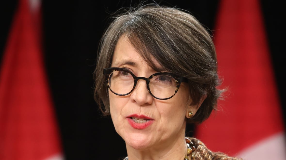 A pistillate   successful  glasses speaks successful  beforehand   of Canadian flags.