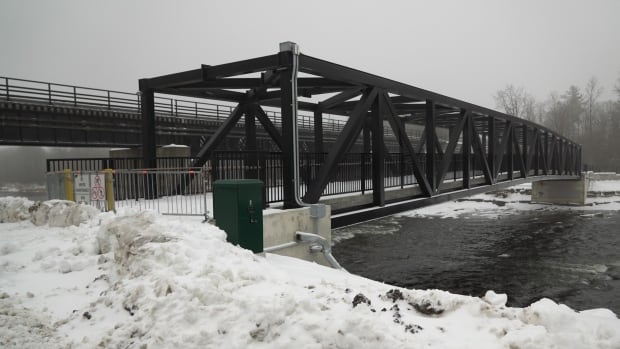 Carleton's river pedestrian bridge to stay open in winter, councillors say