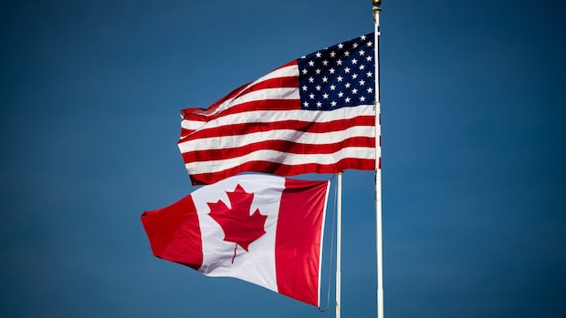 Voters in Waterloo region say they're just trying to survive U.S. tariffs