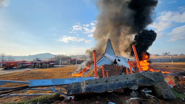 image of 대한민국에서 발생한 비극적인 비행기 추락 사고로 170명 이상 사망