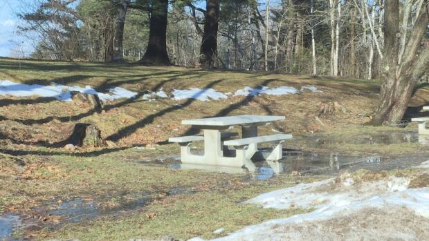Despite a snowy Christmas, New Brunswick is now facing warmer temperatures, melting most of the snow. A bench sitting in a large puddle in a park
