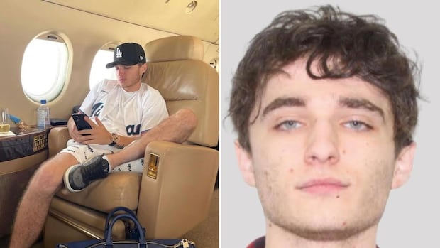 Ontario's self-styled Crypto King pleads guilty to assaulting woman | CBC News