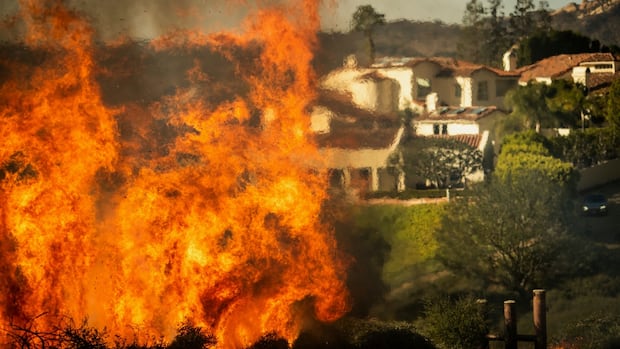 Tens of hundreds flee as properties burn and wildfire whips by way of L.A. hillside
