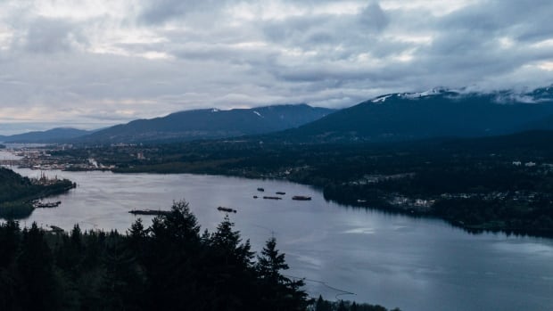 A view of ships and tankers sailing along the waters of Indian Arm, taken from Burnaby Mountain in April 2017. A view of ships and tankers sailing along the waters of Indian Arm, taken from Burnaby Mountain. Taken April 2017.