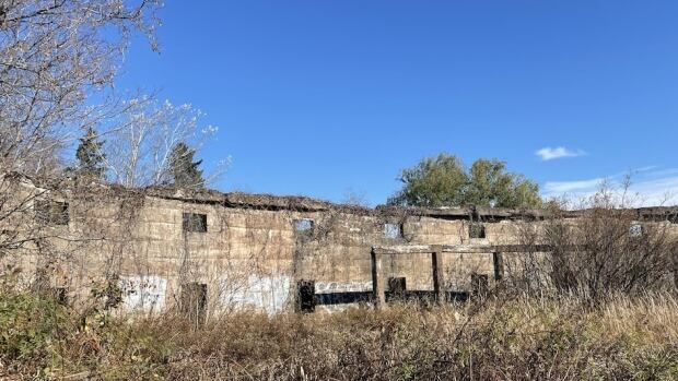 The concrete walls of the Sunny Brae rink, a massive structure destroyed by fire in 1928, shown when the property was for sale in 2022. Concrete walls with various opening surrounded by trees, brush and dead grass.