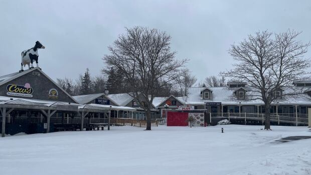 The Cavendish Boardwalk will get an additional 10,000 square feet that will be used for four new rentable spaces, common areas to sit and eat and upgrades to parking and washrooms. The Cavendish Boardwalk in the winter.