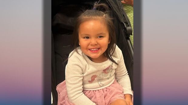 A girl sitting in a stroller smiles to the camera.