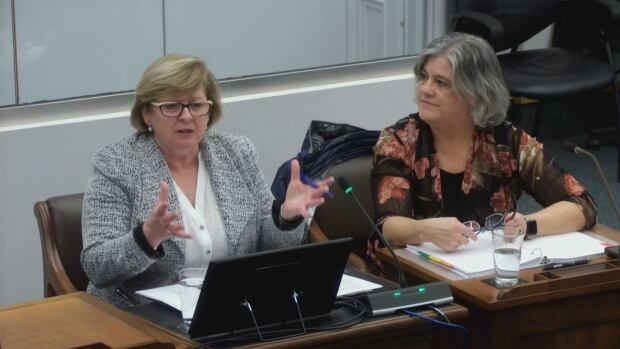 Two women at a desk speaking into microphones in a legislative assembly.