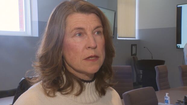 Fredericton Mayor Kate Rogers said the proposed changes aim to strike a balance between encouraging denser neighbourhoods, while maintaining their character. Kate Rogers speaks inside a room at Fredericton city hall.