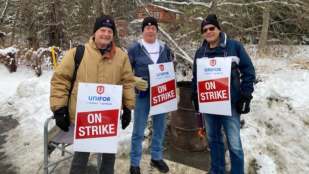 Mayor calls on province to intervene in nearly 5-month-long Vancouver Island transit strike