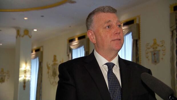 P.E.I. Premier Dennis King speaks to reporters in Washington D.C. on Tuesday, Feb. 11, 2025. A man in a suit speaks into a microphone. He is not looking at the camera.