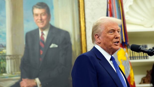 President Donald Trump speaks as Tulsi Gabbard is sworn in as the Director of National Intelligence in the Oval Office of the White House, Wednesday, Feb. 12, 2025, in Washington. Wearing a blue suit and tie, Donald Trump stands and speaks at a microphone at left, with a large portait painting of past U.S. president Ronald Regan seen behind him.