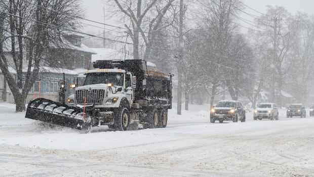 How well did London clear snow this winter? 2 councillors want a review