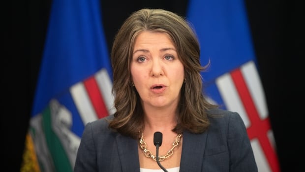 Alberta Premier Danielle Smith introduces legislation addressing agreements between the federal government and provincial entities in Edmonton on Wednesday April 10, 2024. Alberta's doctors and nurses say they have questions and concerns about the government's plan to offload underperforming hospitals from Alberta Health Services to third party operators, and they want to see the details.THE CANADIAN PRESS/Jason Franson. A woman with long hair standing in front of flags