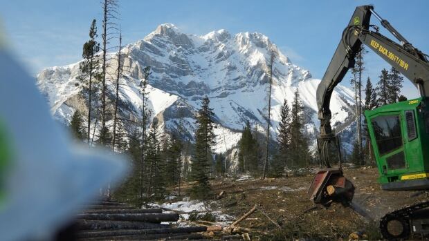 A view of Cascade Mountain near the Tunnel-Toe Wildfire Risk Reduction Project site. Construction equipment in a forest. Mountains can be seen in the distance.