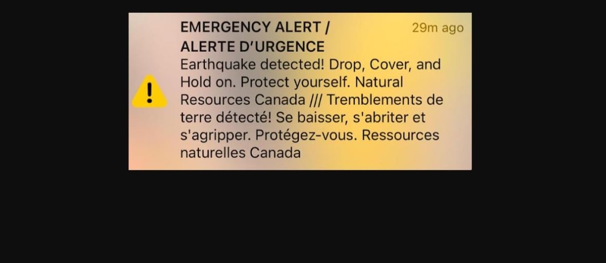 Screenshot of an earthquake emergency alert.
