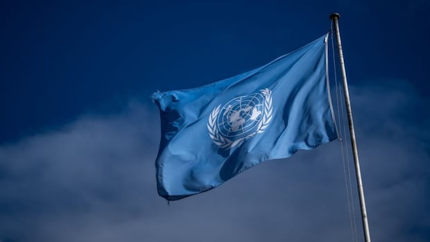 United Nations to vote on demand for immediate Gaza ceasefire despite U.S., Israel opposition