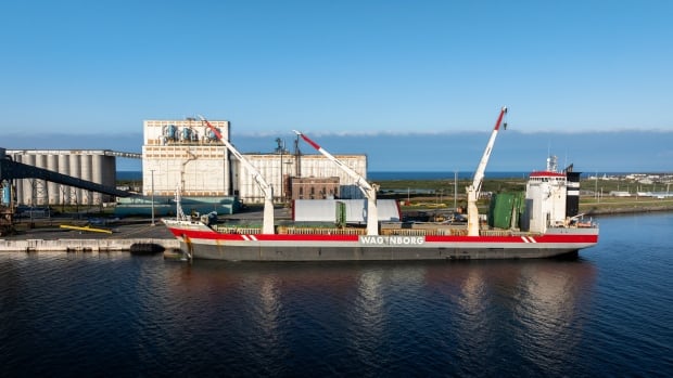 There are plans to ship 20,000 tonnes of zinc concentrate through Manitoba's northern port this year, which is double the amount it saw last summer, the port's ownership group says. A ship on the water next to some buildings.