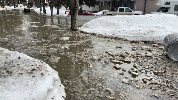 Phil Fauth says he woke up to find water climbing up his driveway. Murky, half-frozen water fills a street.