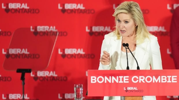bonnie-crombie-ontario-liberal-leader-election-night.jpg