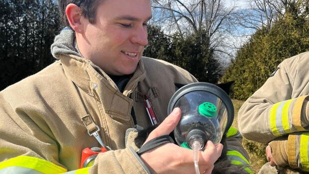 Multiple cats rescued from Tilbury, Ont., house fire