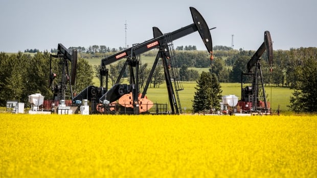 Farmers in the prairies and people living in Saskatchewan weigh in on Saskatchewan's place in federal politics. A pumpjack draws oil from the ground surrounded by a bright yellow canola field.