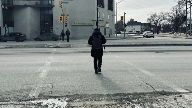 Pedestrians now have 5-second head start at nearly 100 downtown Winnipeg intersections
