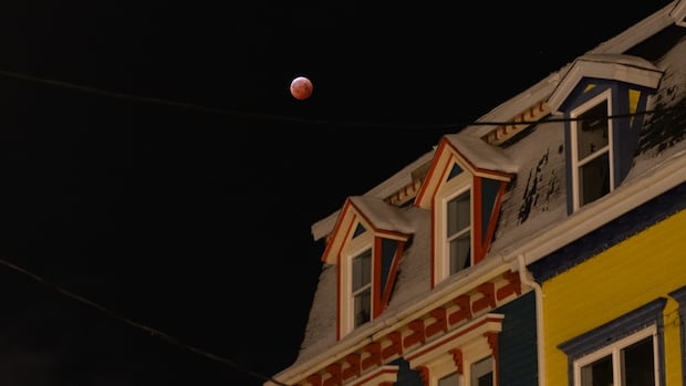 The early bird catches the blood worm moon over St. John's