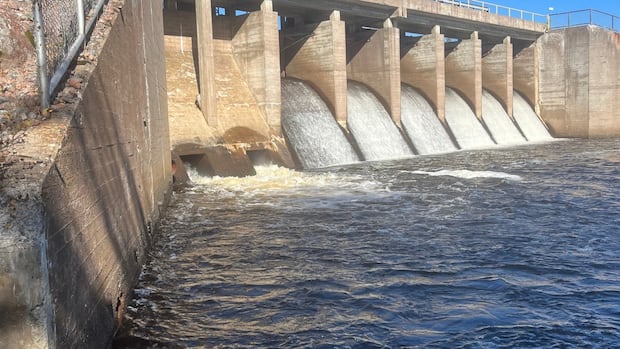 N.L. government looking to sell idle Buchans energy plant