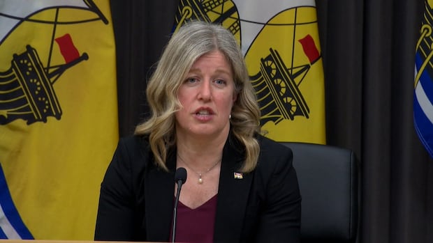 All options on table as N.B. tries to restrain rising bills — including sale of utility
