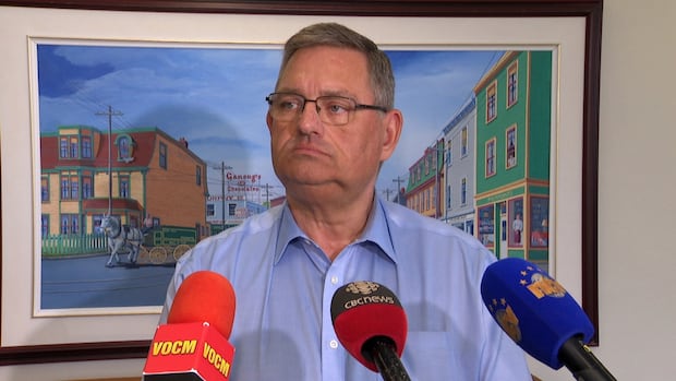 Code of conduct breach won't lead to discipline for St. John's councillor