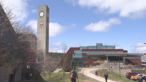 Memorial University gets advice from staff as it aims to cut spending by $20M