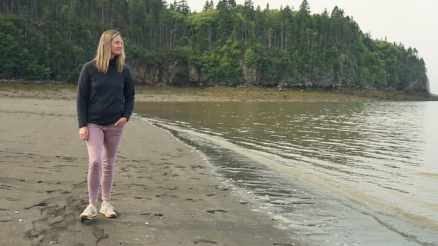 Changes in Bay of Fundy highlighted in new documentary by environmental group