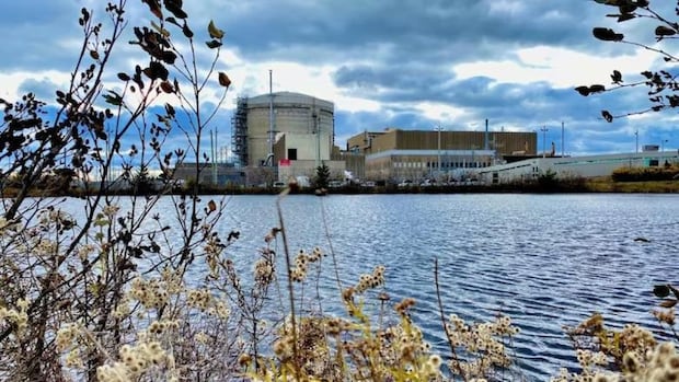 Idle Lepreau nuclear plant threatens to post worst operational year in 4 decades