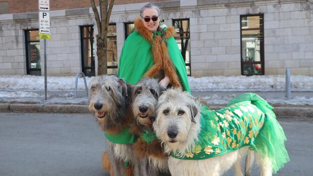 IN PHOTOS | Quebec City's St. Patrick's Day parade