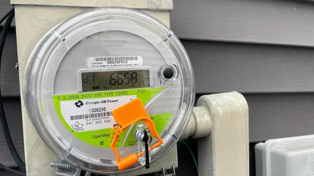 What to know about N.B. Power's right to install a smart meter on your home