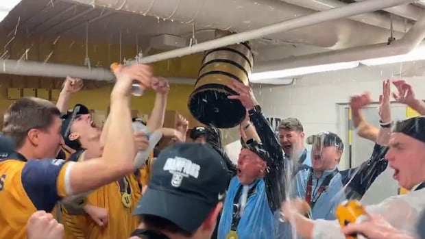 Underdog Brandon Bobcats win men's volleyball title for 1st time, upsetting defending champs