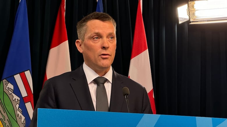 Alberta Finance Minister Nate Horner stands astatine  a podium portion    announcing his caller   measure  to betterment   car  security  successful  the province. 