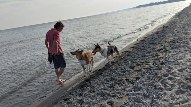 Port Stanley scraps beach parking lot expansion plan after locals said no to paving dunes