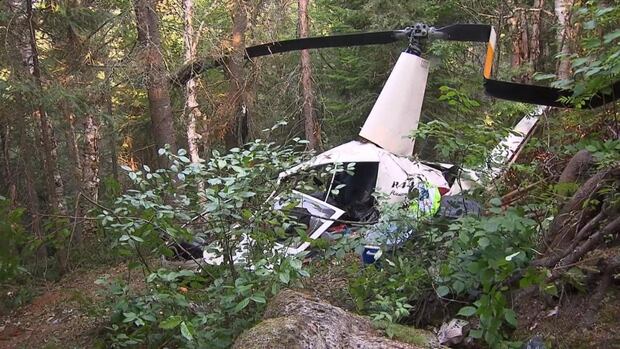Family of late Quebec businessman sues helicopter company in 2019 deadly crash