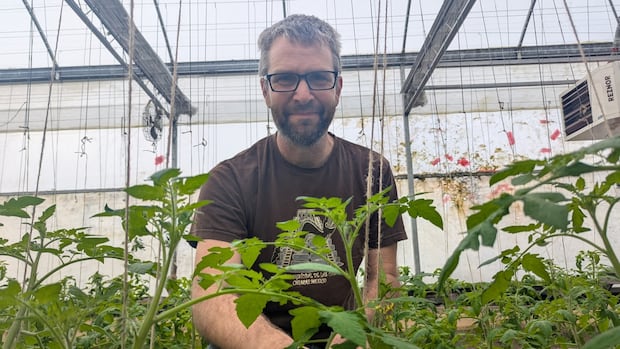 How a trade war could boost small-scale farming in southwestern Ontario