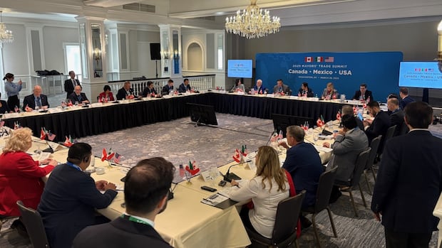 Regina mayor joins counterparts from across North America in D.C. to call for end of trade war