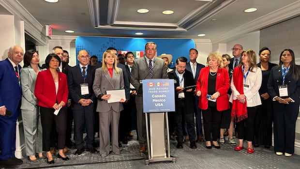 N.B. mayor goes to Washington, hears U.S. counterparts share tariff concerns