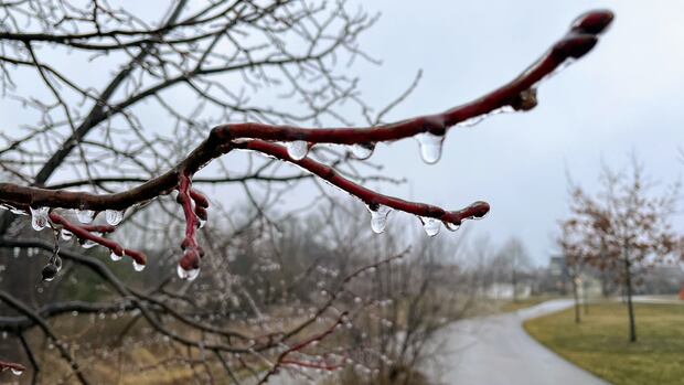 Freezing rain warning for Waterloo region, Guelph and Wellington County