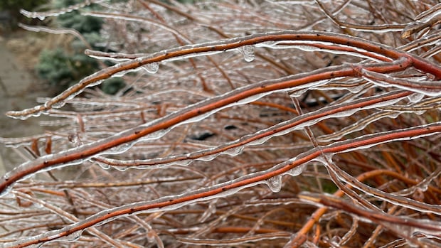 Freezing rain and slippery conditions expected Wednesday in Waterloo region and area