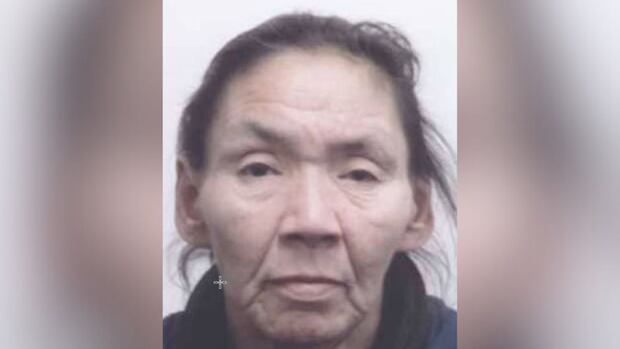 Montreal police seek help locating woman last seen in Milton Park area