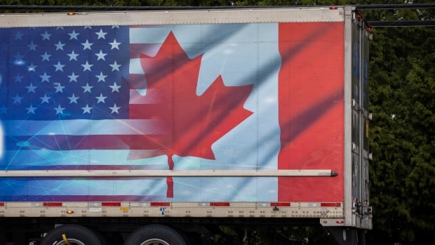 A Canadian and American flag are pictured on a transport truck trailer.